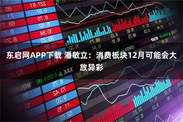 东启网APP下载 潘敏立：消费板块12月可能会大放异彩