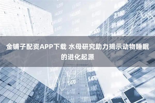 金铺子配资APP下载 水母研究助力揭示动物睡眠的进化起源