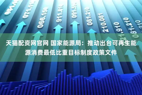 天猫配资网官网 国家能源局：推动出台可再生能源消费最低比重目标制度政策文件
